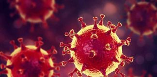 как коронавирус влияет на мозг человека